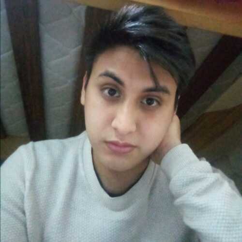michael1275