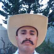 cheluislaras586