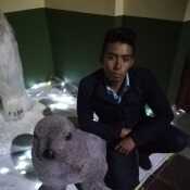 Willi218