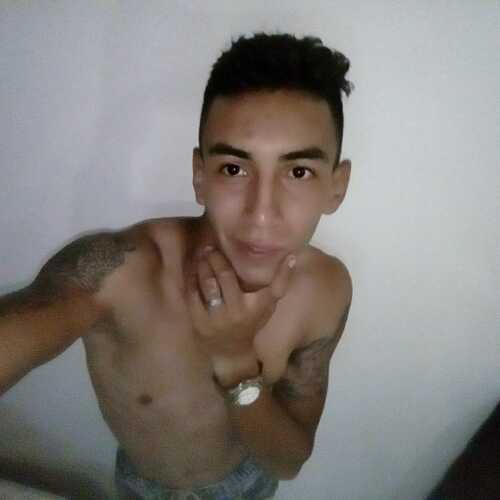 salaman317