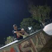 Lionthebest