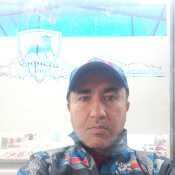 Pululante 22