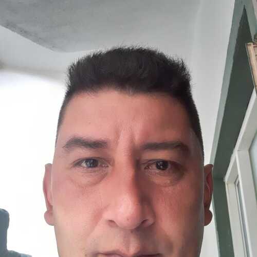 bajistaguald262