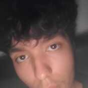 InsightfulDaydrec83e