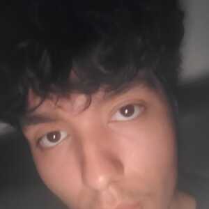 InsightfulDaydrec83e