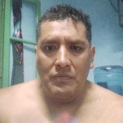 Lobo feroz