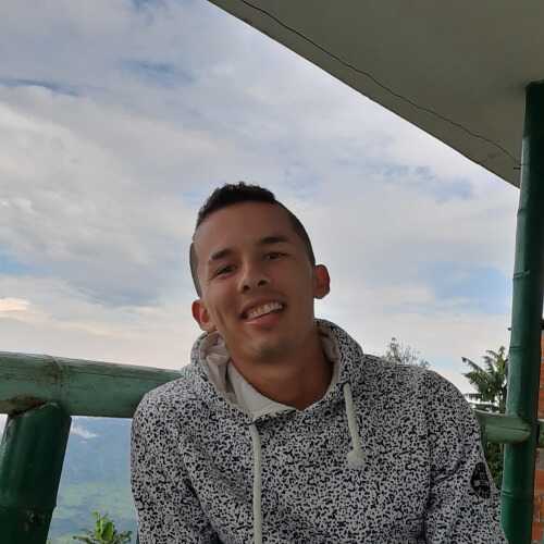 tavo201