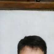 wilsincarp