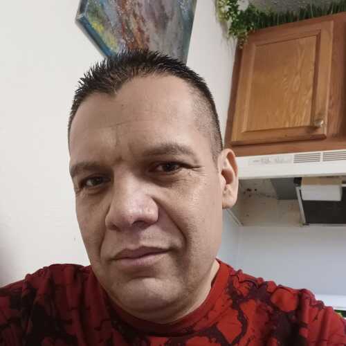 Cachorro 