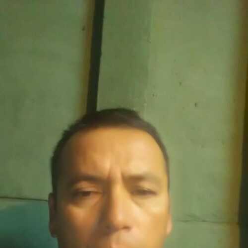 Roy76cacharnator