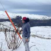 Yorby 