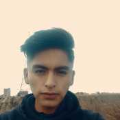 David
