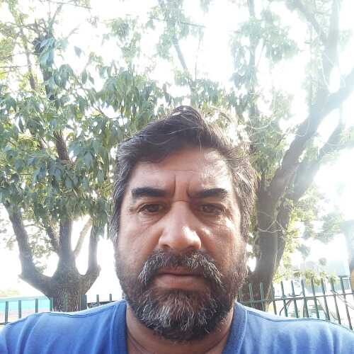 fernandobor864