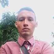 niyomad377