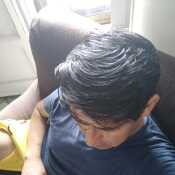 sipe19