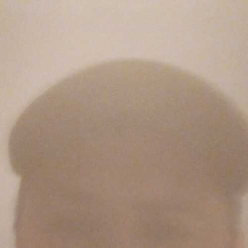 tavo