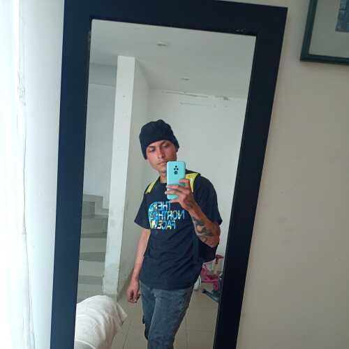 Alfredo365