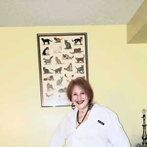 shirleym441