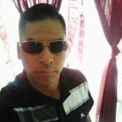 ibarra349