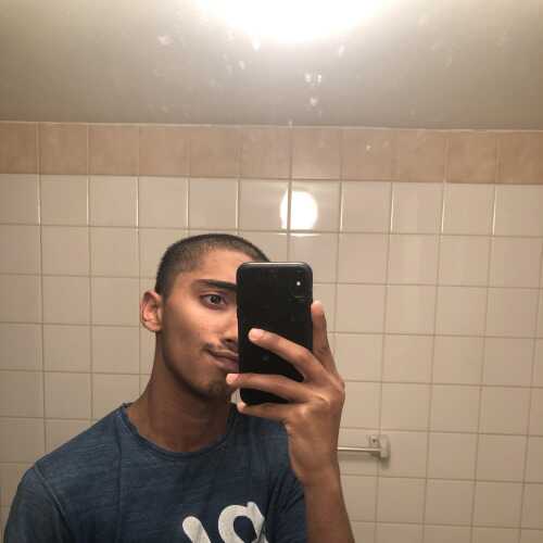 alansogygeo895