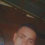 Camg68