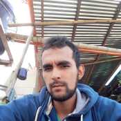 hol878ElBordo