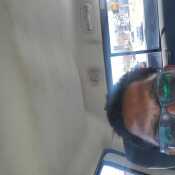 Darnelljohn015
