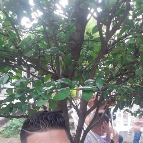 JhonpaulCali