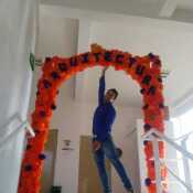 Lalin785