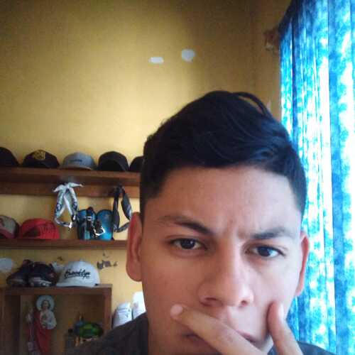 hectoral41
