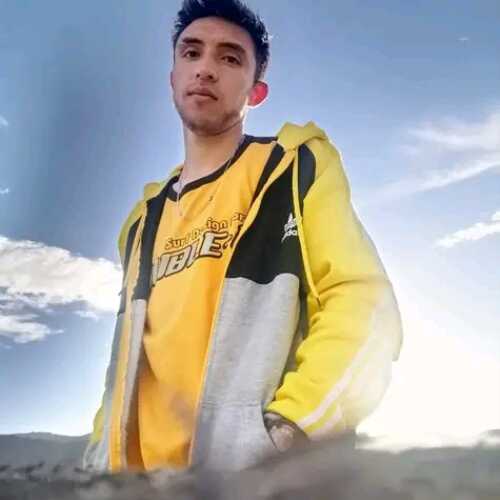 Stive