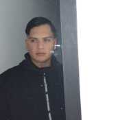 Armanipp