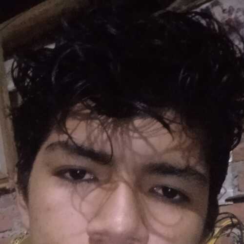 Jhors