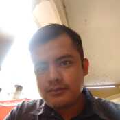 sanchezanse855