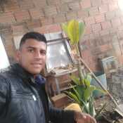 Armando233