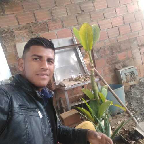 Armando233