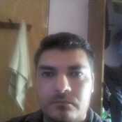 Argentinotino
