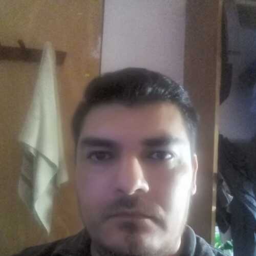 Argentinotino