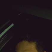 alexjesus6799