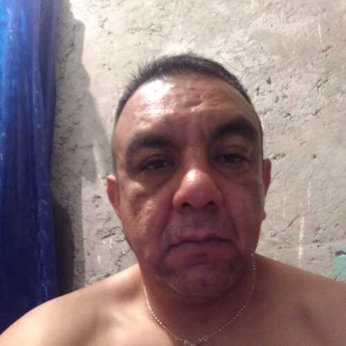 vegarafa816