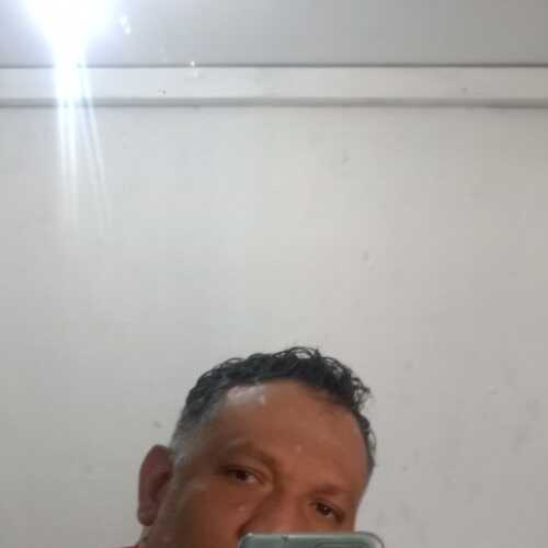 wilfredojcaraba784