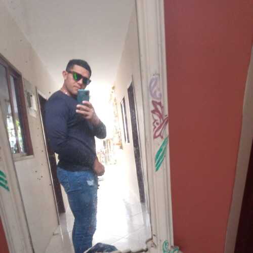 tay733