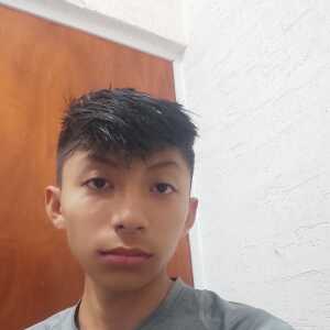 gfgcaefdcajgefib