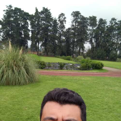 carvec86Cuernavaca