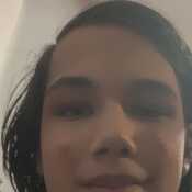 Aucklandslut