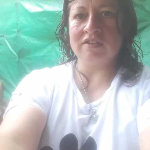 silvialuzrodrig579