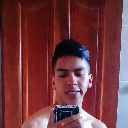 noelfloresar782