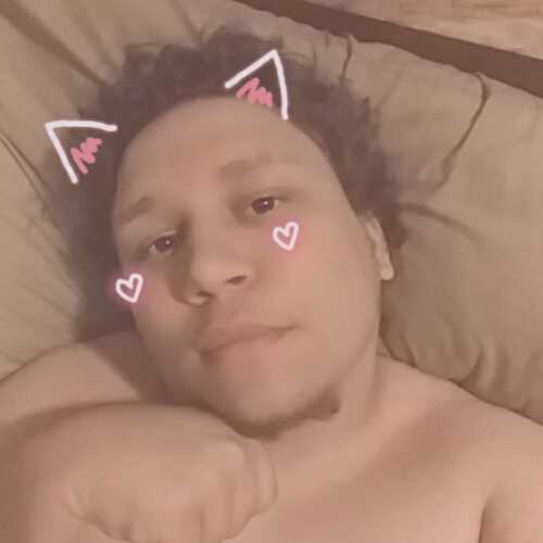 KittyCam