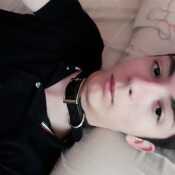 robertopuppy