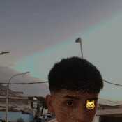 alfaritoop